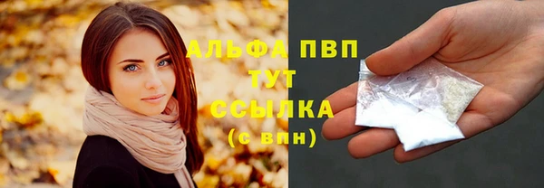 хмурый Осинники