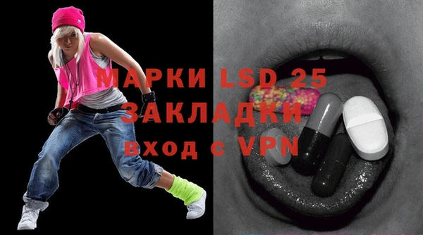 хмурый Осинники